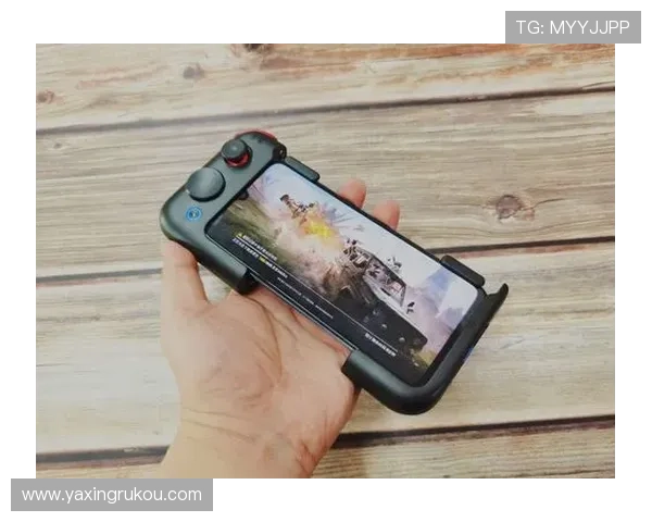 亚星娱乐旗舰厅下载官网最新版本安全稳定，玩家尽享畅快游戏体验